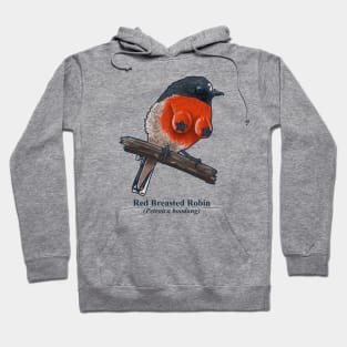 Red Breasted Robin Hoodie